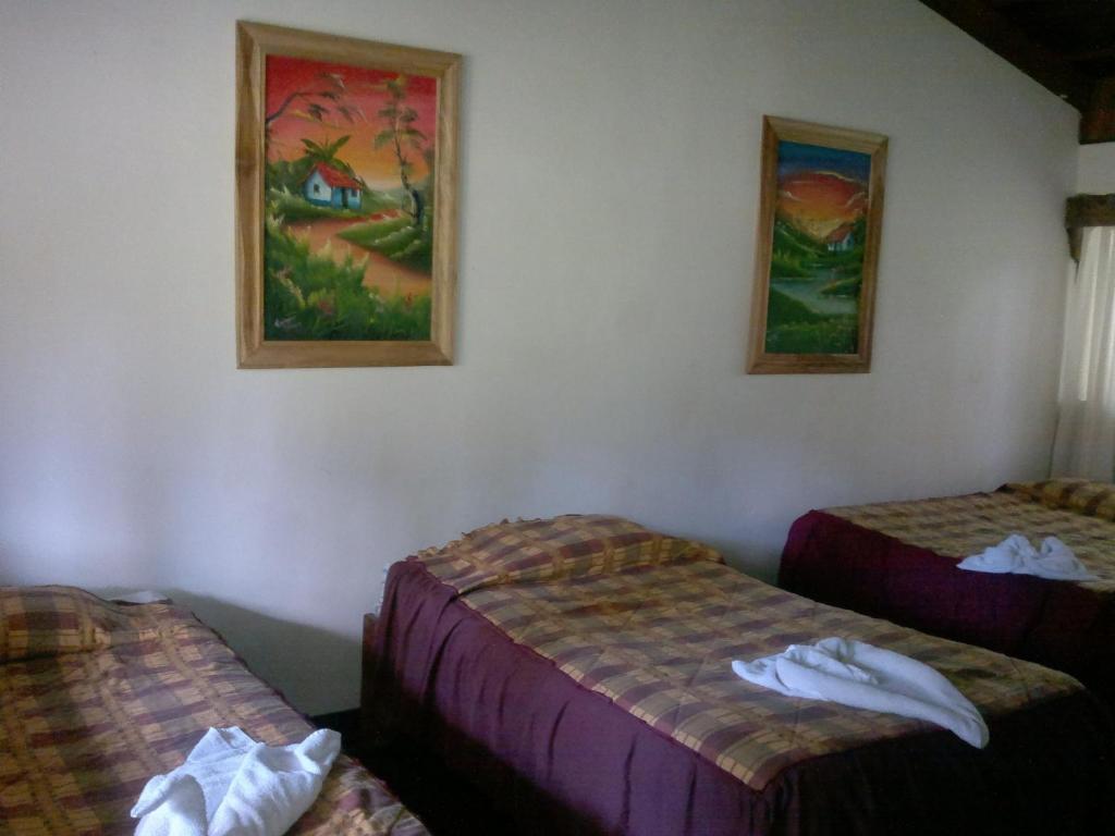 Hostel Villa Verde Monteverde Exterior foto
